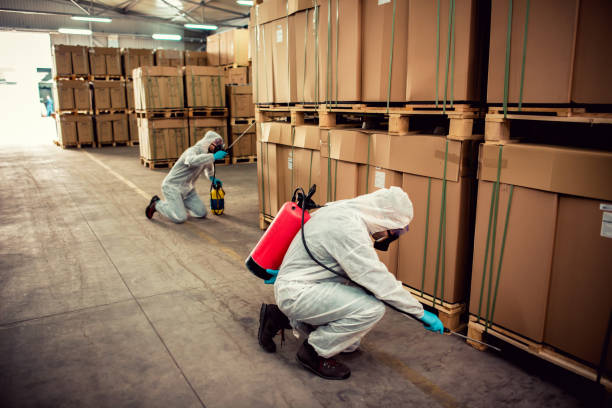 Best Ant Control Services  in Elmira Heights, NY