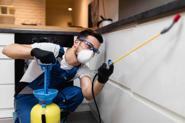 Best Pest Control Near Me  in Elmira Heights, NY