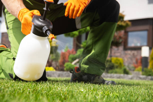 Insect Control in Elmira Heights, NY
