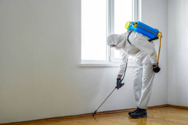 Best Cockroach Control Services  in Elmira Heights, NY