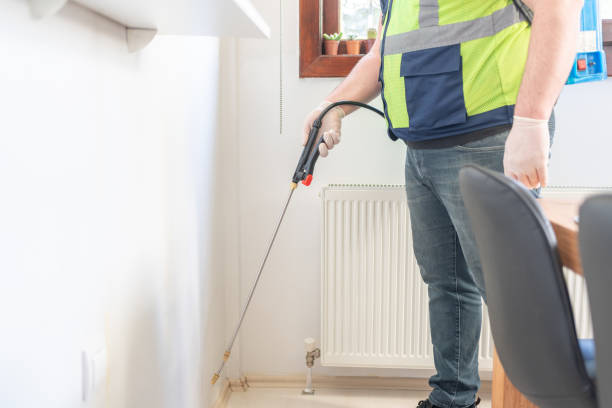 Best Affordable Pest Control Services  in Elmira Heights, NY