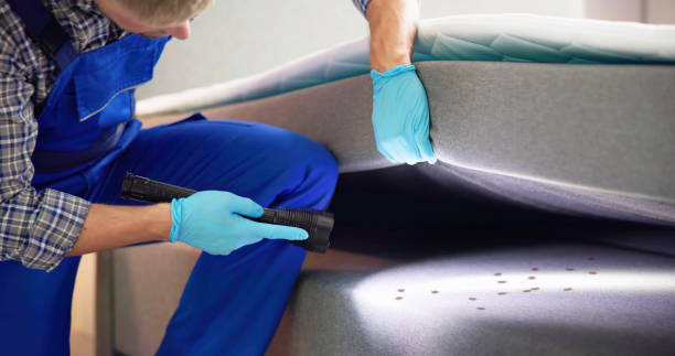 Best Wasp Removal Services  in Elmira Heights, NY