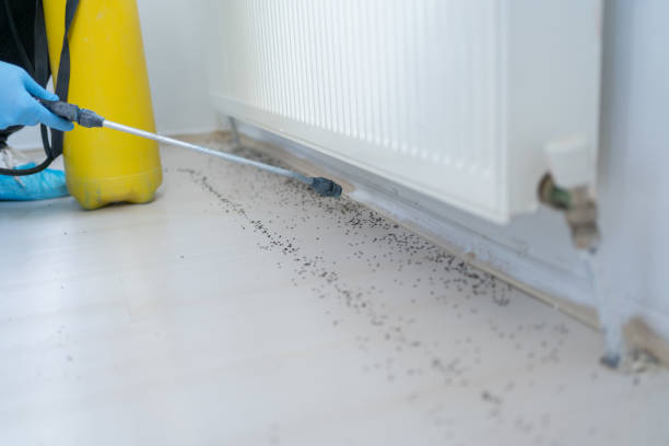 Best Exterminator Services  in Elmira Heights, NY