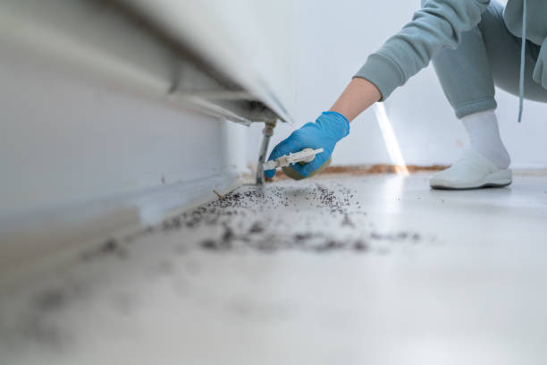 Best Emergency Pest Control  in Elmira Heights, NY